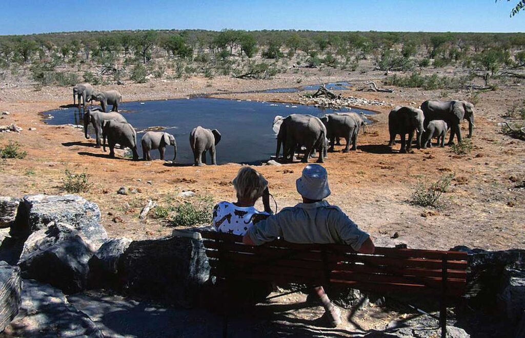 Watering hole in Etosha Pan in Etosha National Park