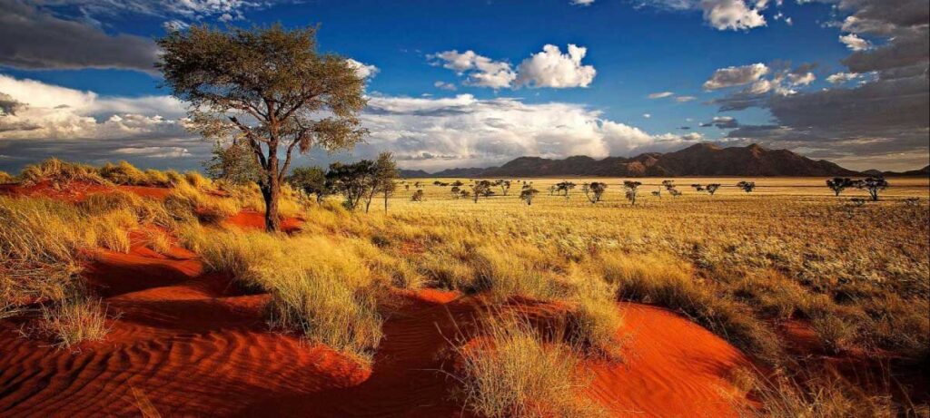 Namibia Travel in the Desert