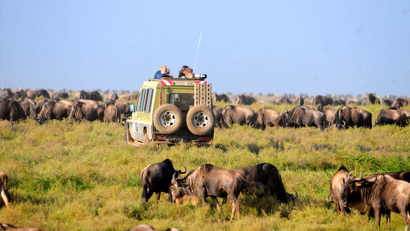 Serengeti National Park Safari