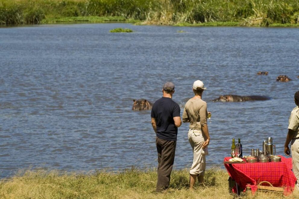 Migration Safari in Kenya & Tanzania (8 days) | Discover Africa Safaris