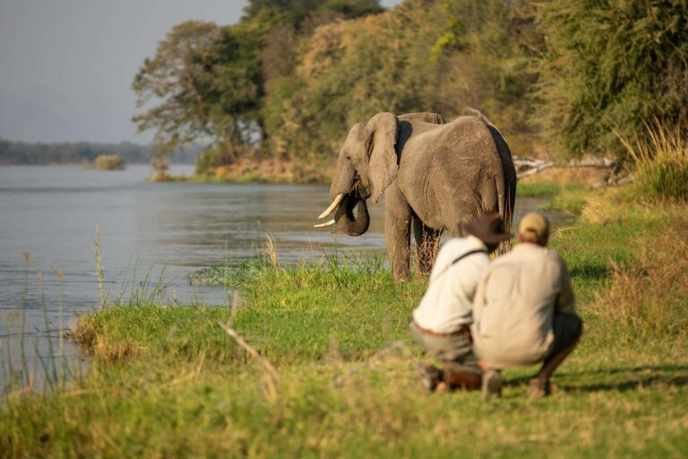 Zimbabwe Safaris Tours And Packages Safari In Zimbabwe 9793