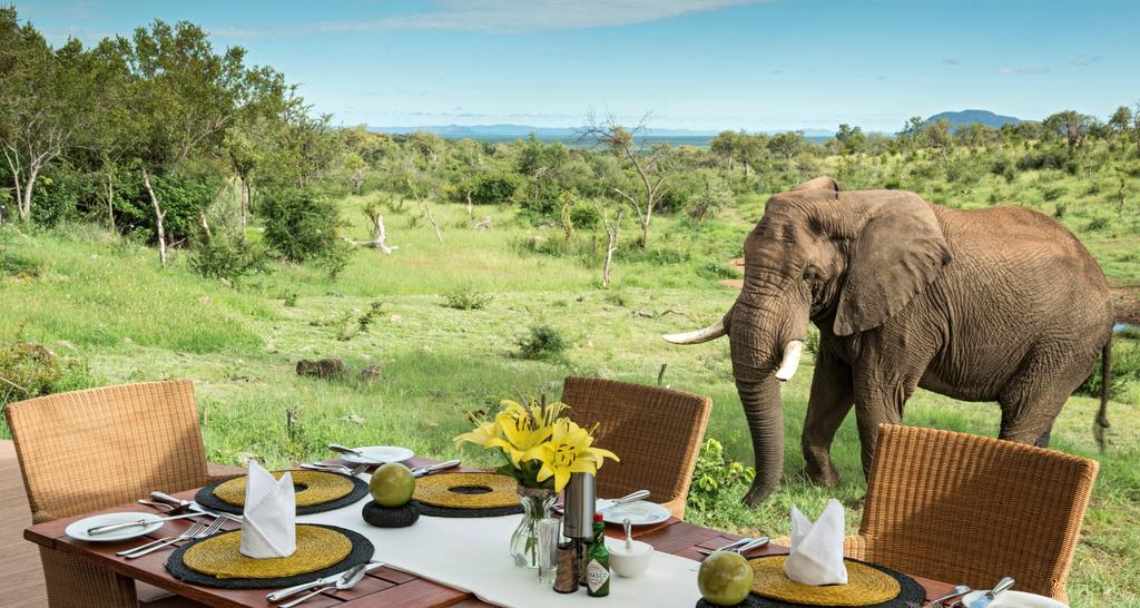 The Big 5 In Madikwe Game Reserve Part 1: The African Elephant