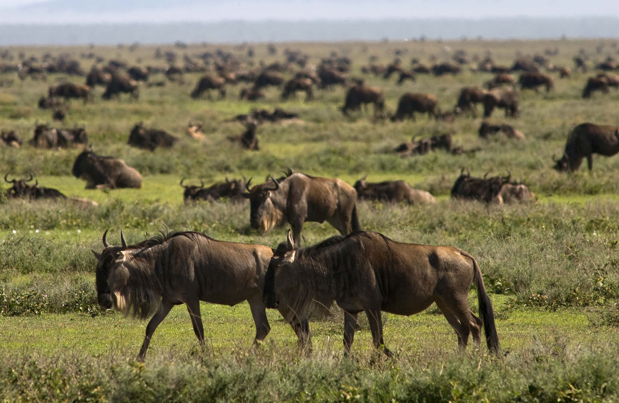 Moremi Crossing Moremi Crossing, Okavango Delta, Botswana | Discover ...