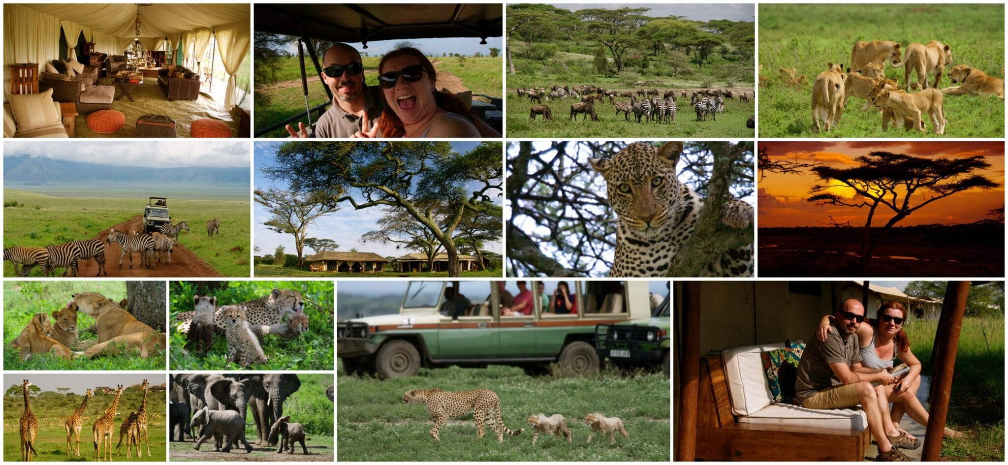 Festive Season in the Serengeti | Safari Traveller Stories