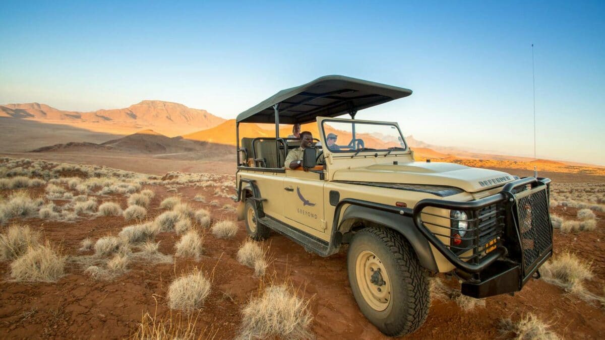 Desert Safaris