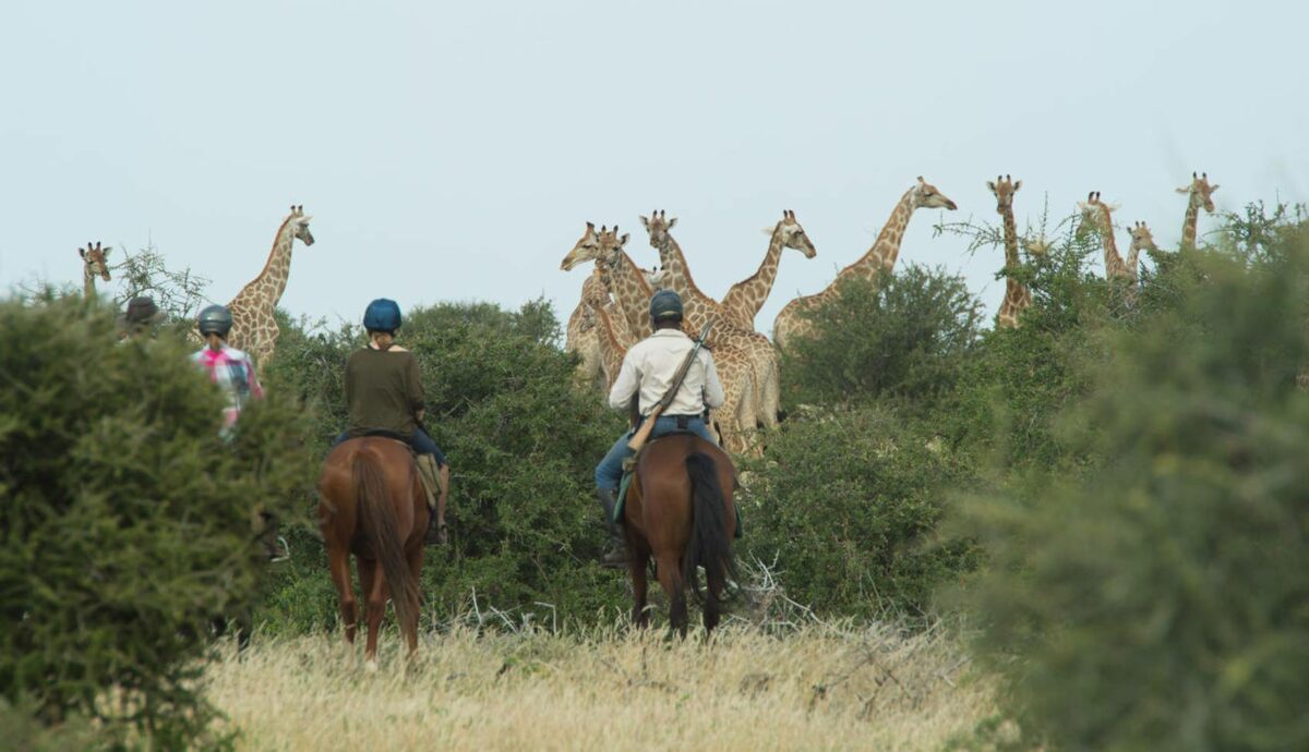 Horseback Safaris