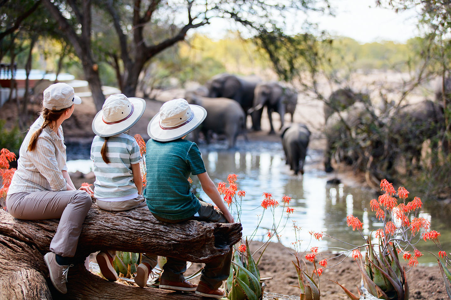 best family safaris africa