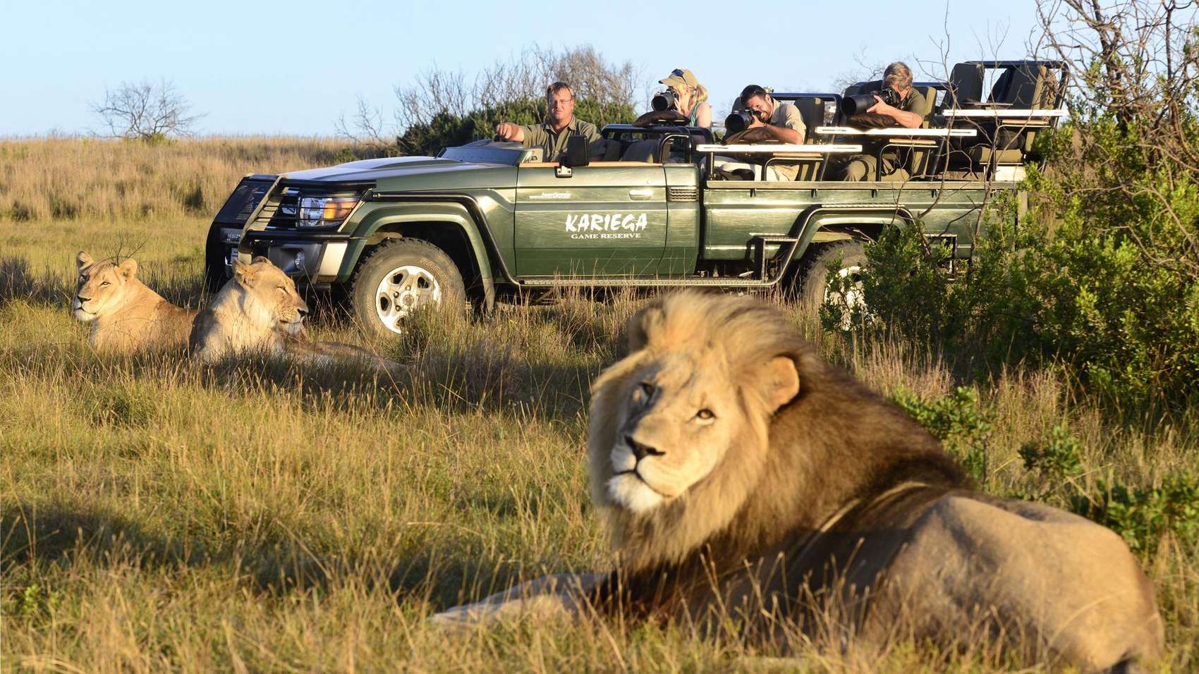 safari reizen zuid afrika