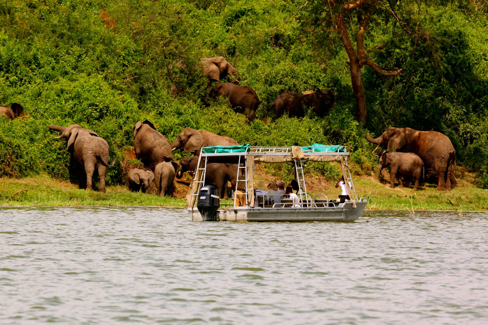 uganda safari in february