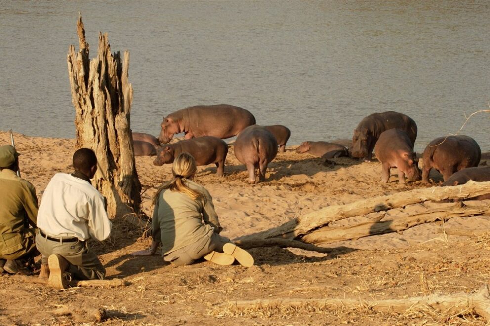 kakuli safaris