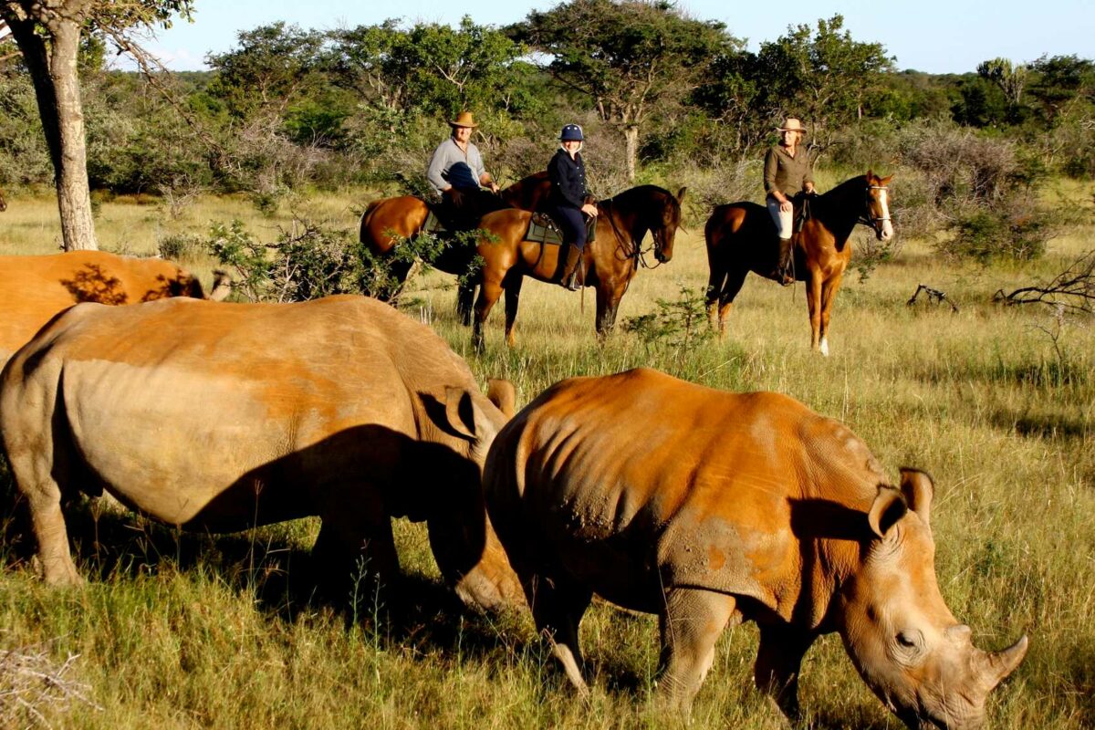 south-africa-visa-requirements-and-fees-discover-africa-safaris