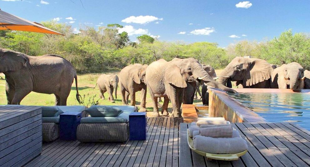 South African Holiday Adventure (10 days) | Discover Africa Safaris