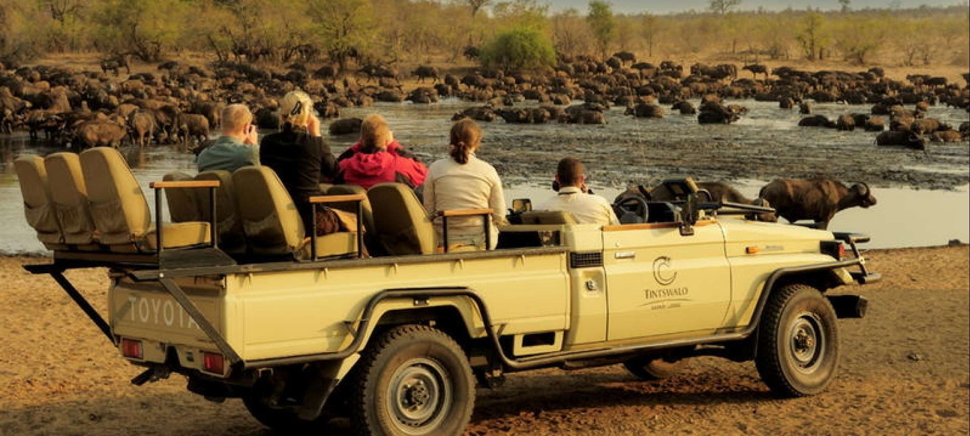 Cape Town & Kruger Family Safari (8 days) | Discover Africa Safaris