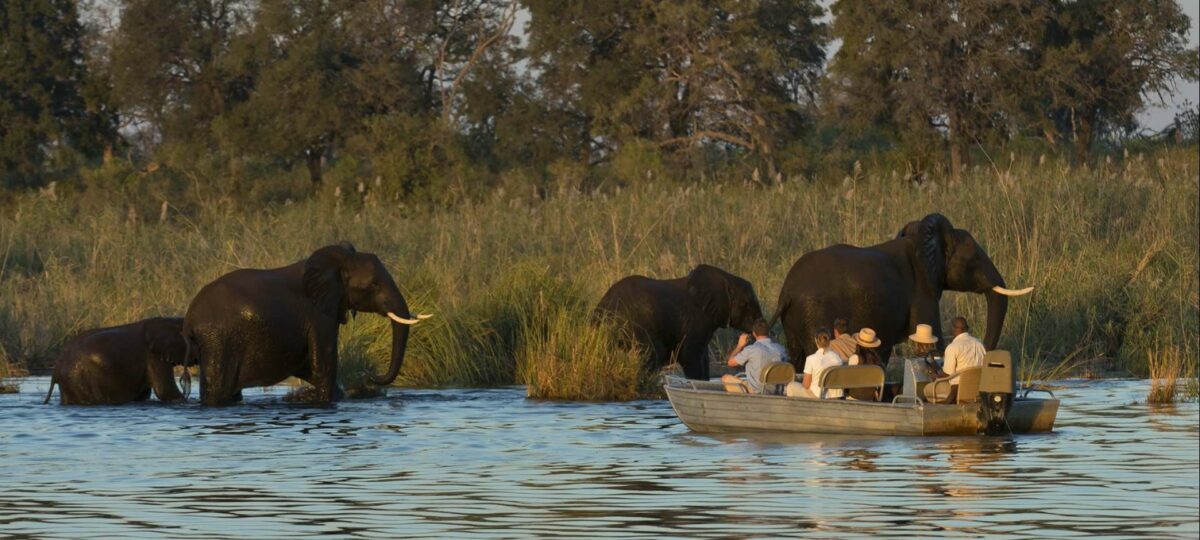 1200px x 540px - Zambia Safaris, Tours & Packages | Safari in Zambia