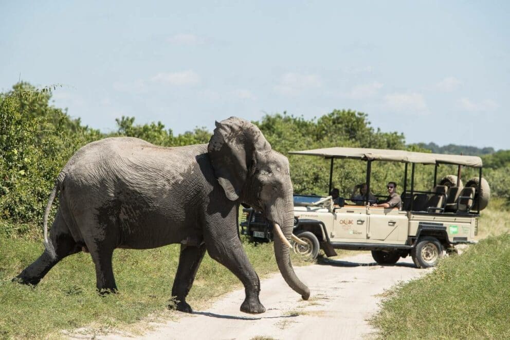 Chobe Game Lodge Chobe Game Lodge, Chobe National Park, Botswana ...