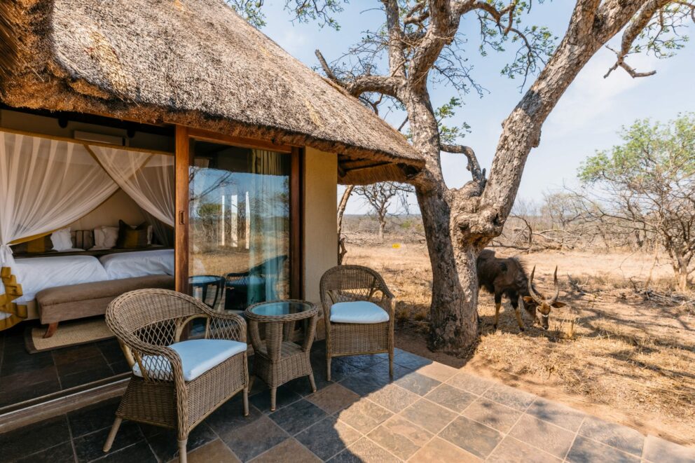 Jackalberry Lodge Jackalberry Lodge, Thornybush Game Reserve, South ...