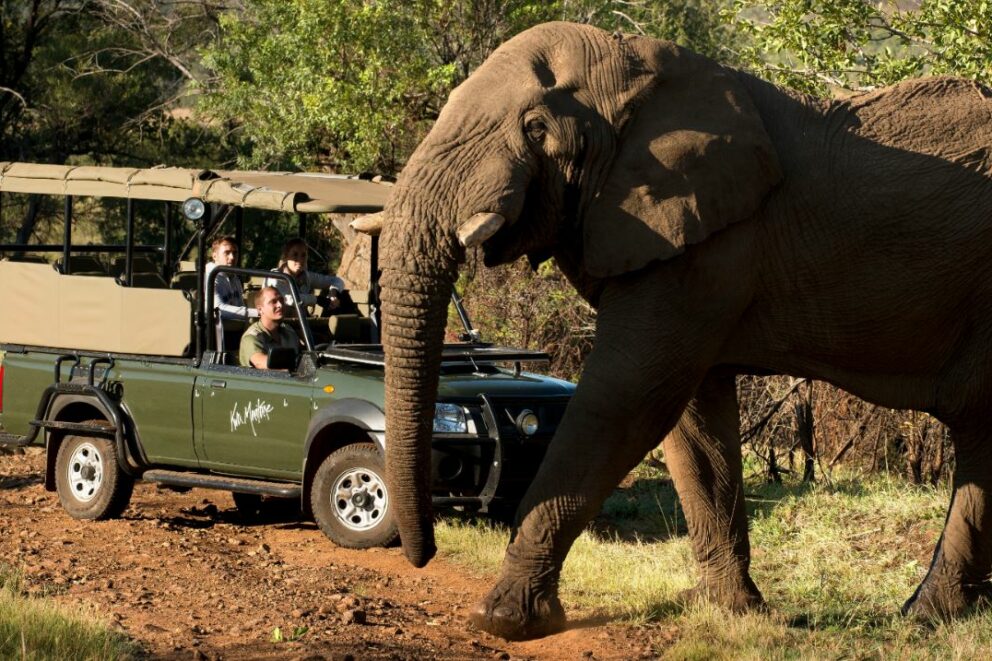 Kwa Maritane Bush Lodge Kwa Maritane Bush Lodge, Pilanesberg National ...