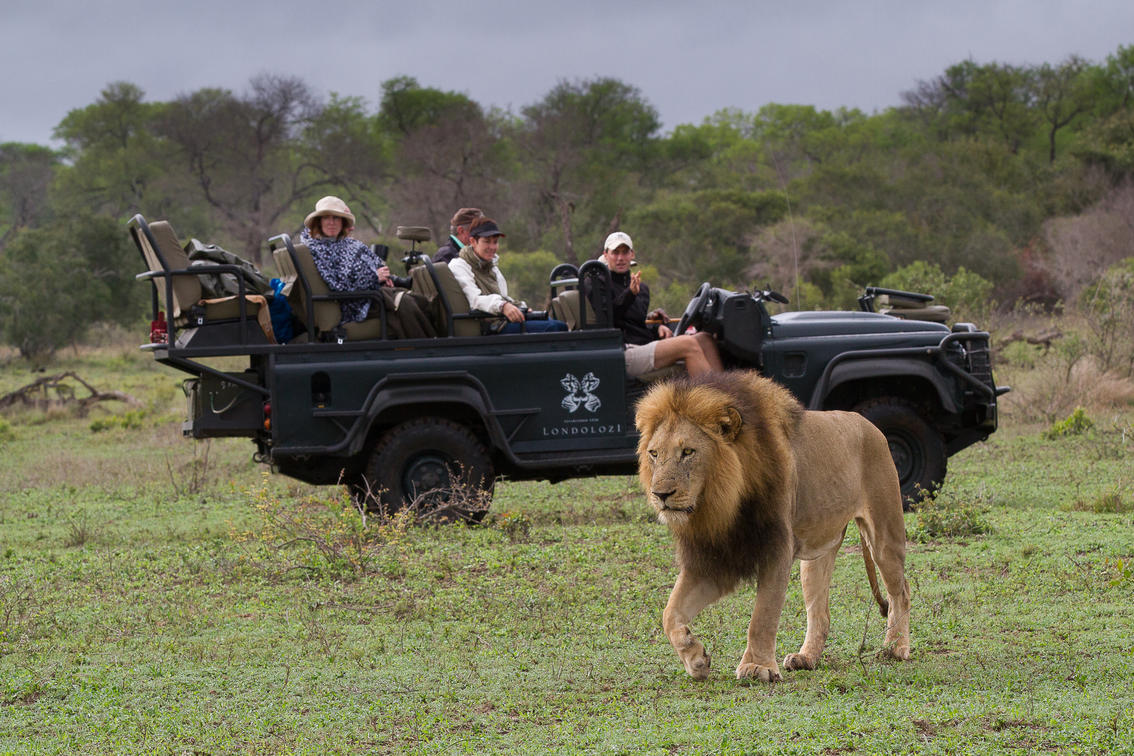 Londolozi Varty Camp Londolozi Varty Camp, Sabi Sand Game Reserve ...