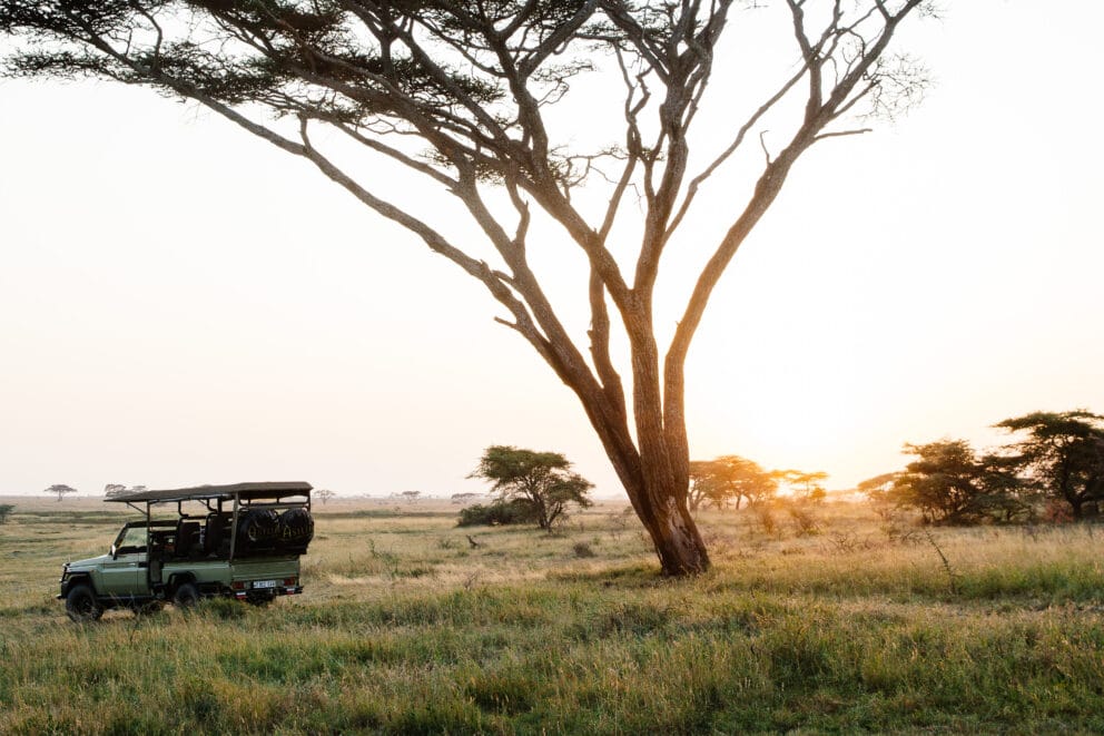 Namiri Plains Camp Namiri Plains Camp, Serengeti National Park ...