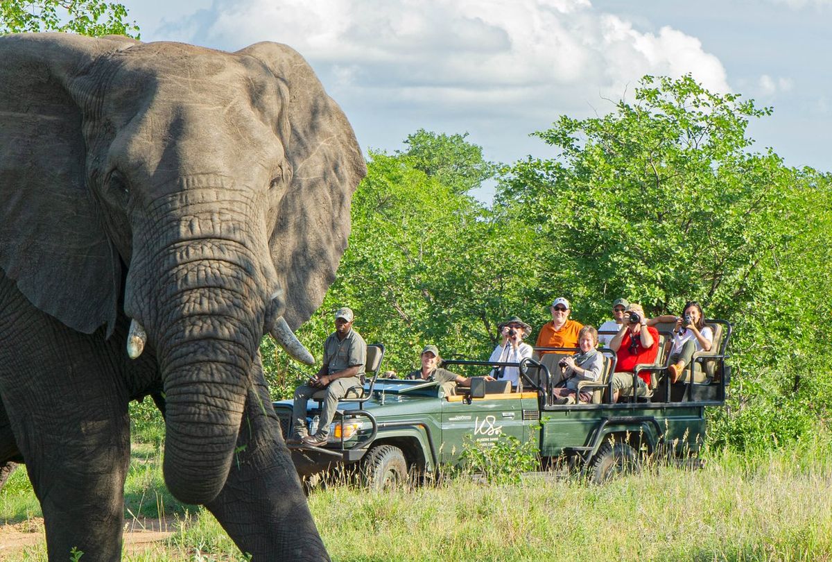 Klaserie Sands River Camp Klaserie Sands River Camp – Discover Africa