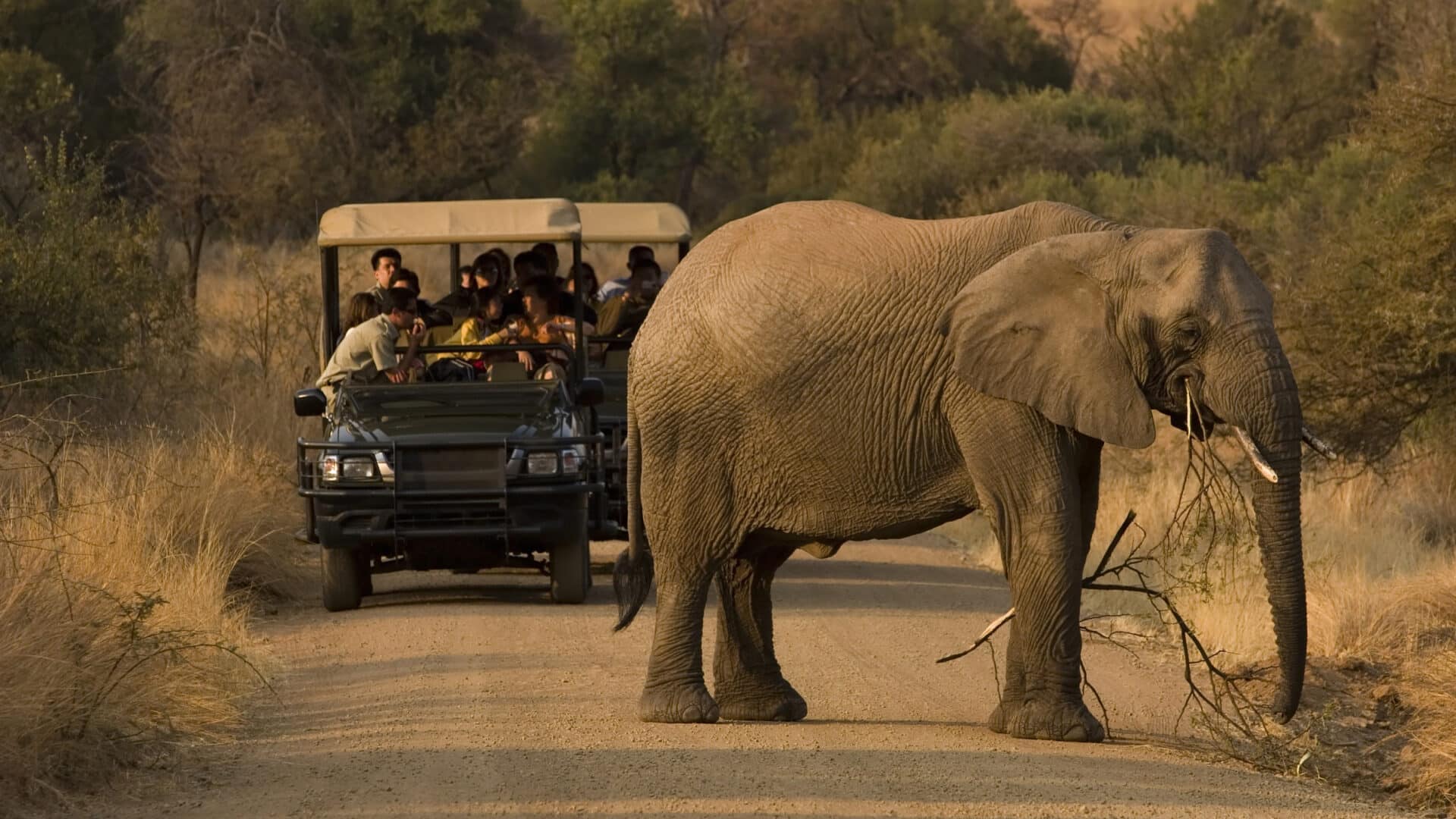 safari namibia vs south africa