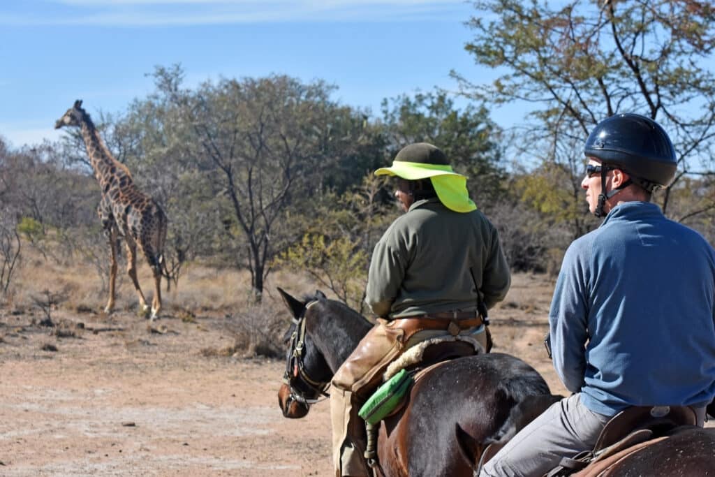 Group on a horse safari in South Africa spotting a giraffe. Photo: Getty Images