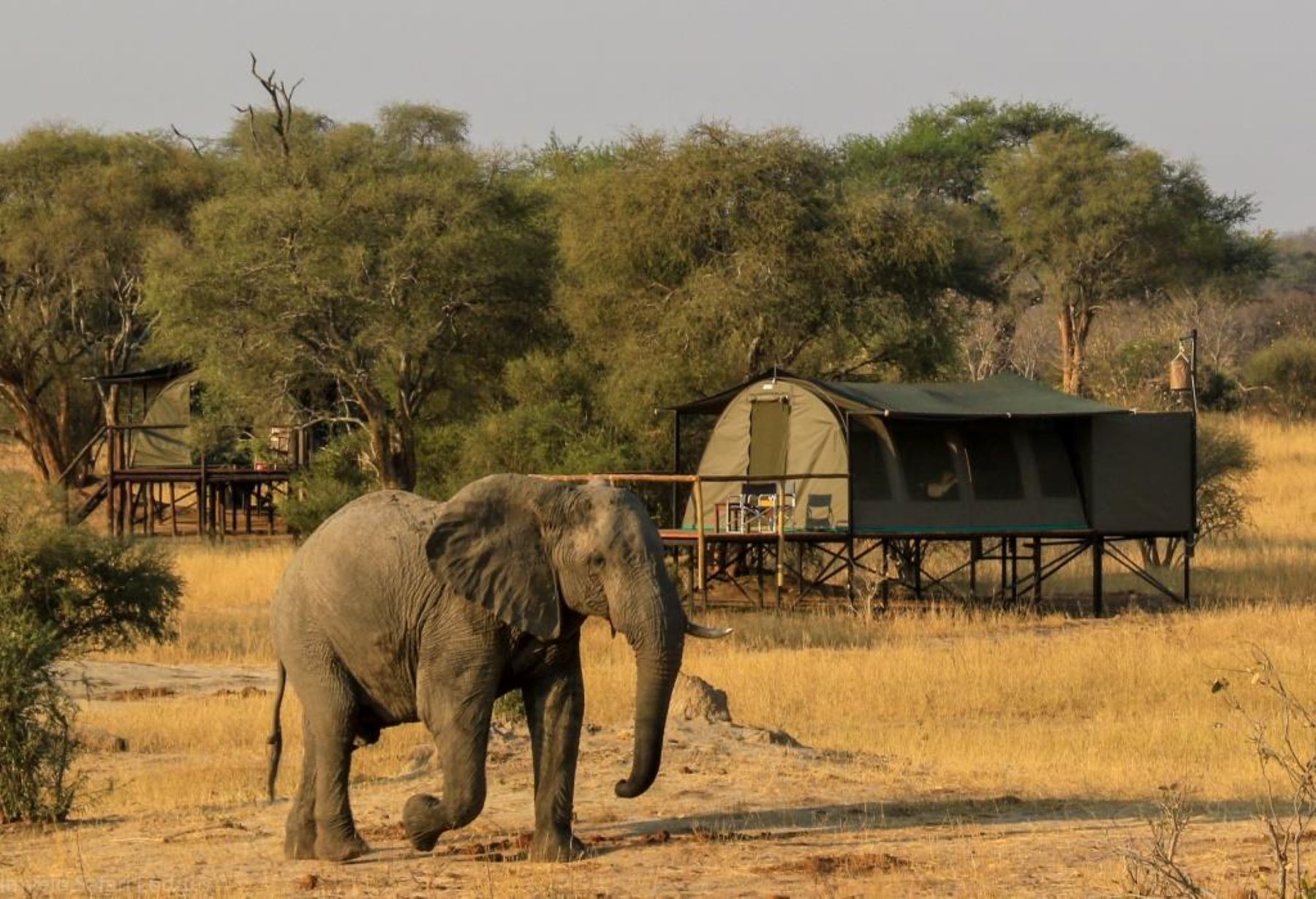 Jozibanini Camp Jozibanini Camp, Southern Hwange National Park ...