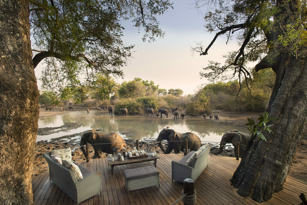 Elephants walking past luxury lodge in ZImbabwe | Photo credits: Kanga Camp