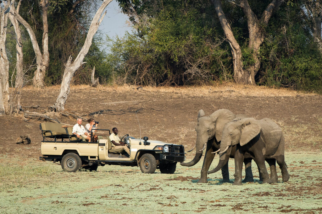 Game drive in South Luangwa National Park, Zambia | Photo credit: Tena Tena