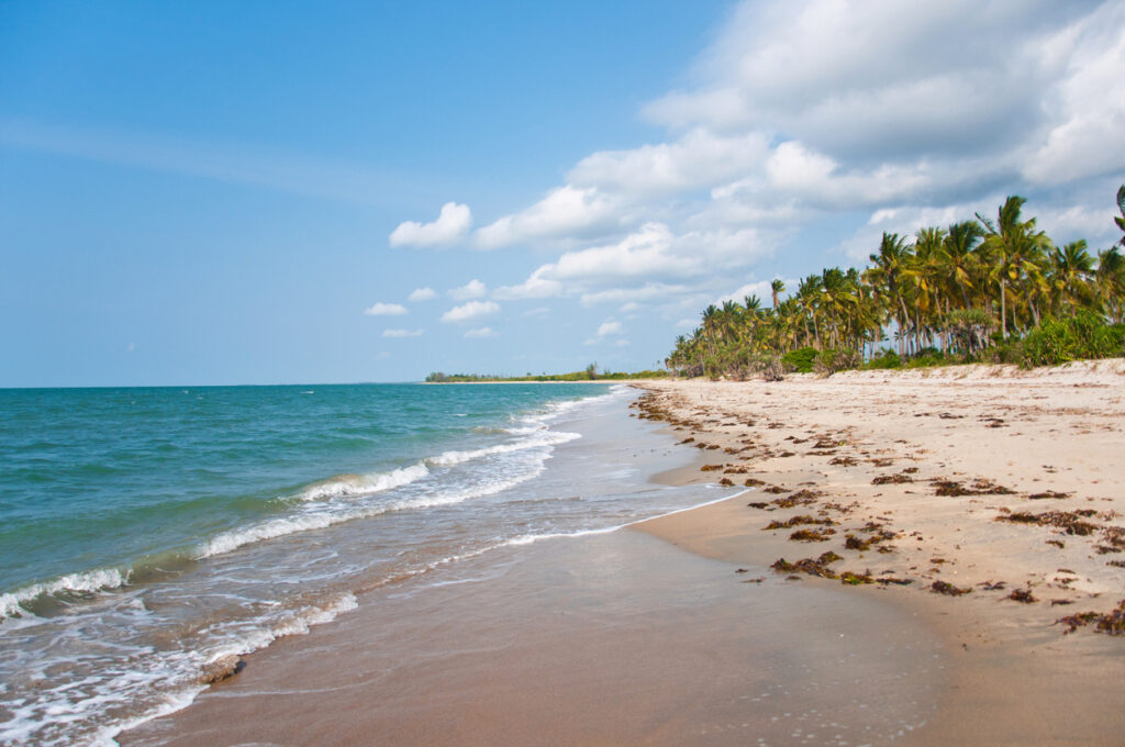 Beach in Saadani National Park, Tanzania