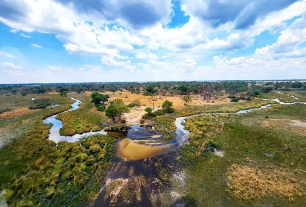 Aerial view of the Okavango Delta