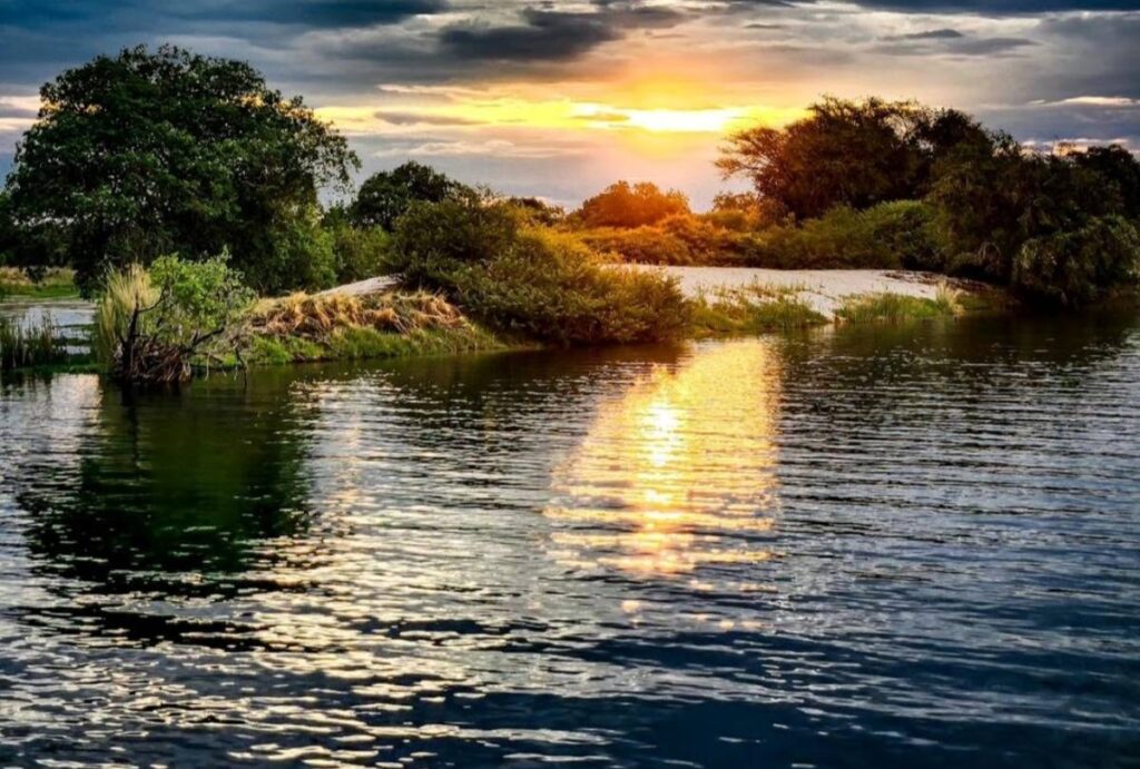 Incredible Zambezi river cruise at sunset.