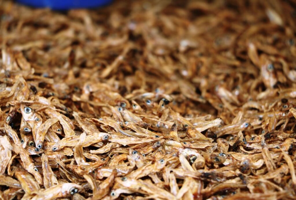 Dried Kapenta on the market