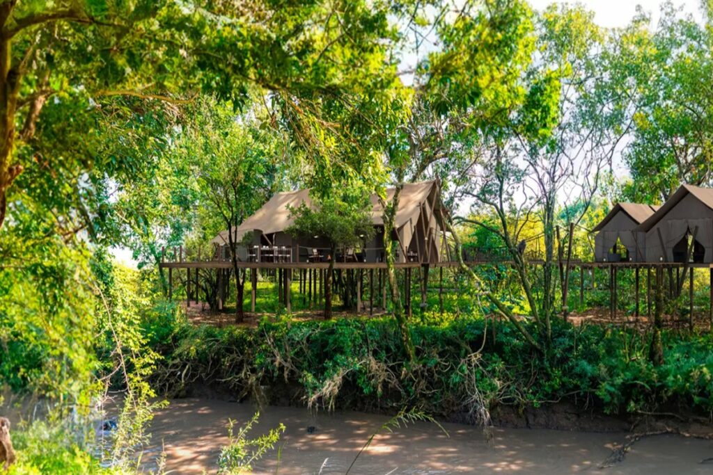 Great Plains Mara Toto Tree Camp. 