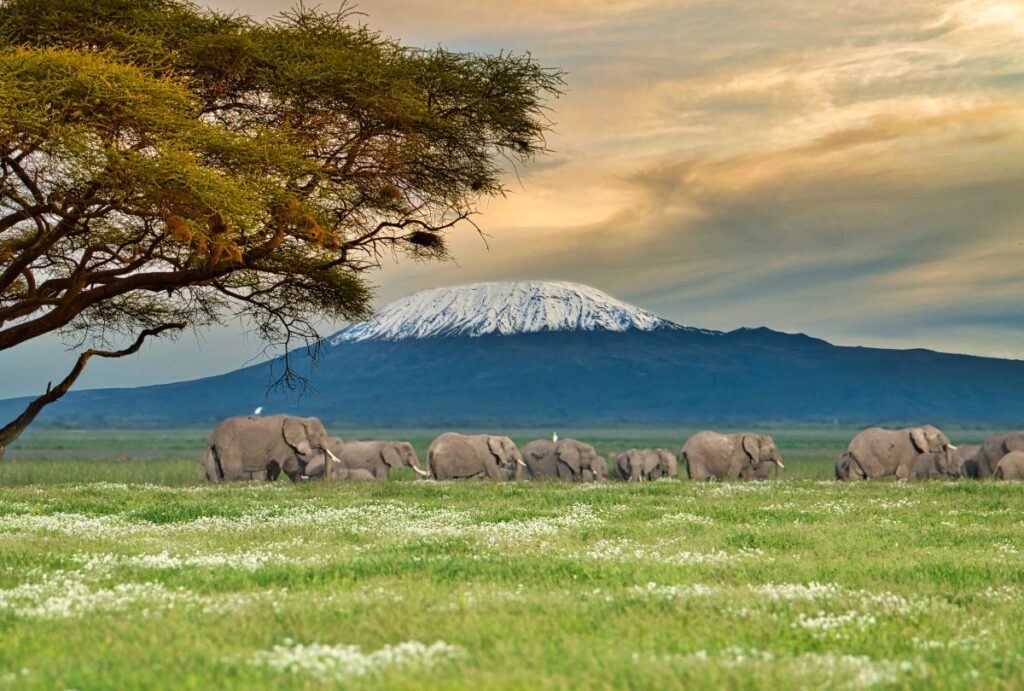 Tsavo National Park in Kenya