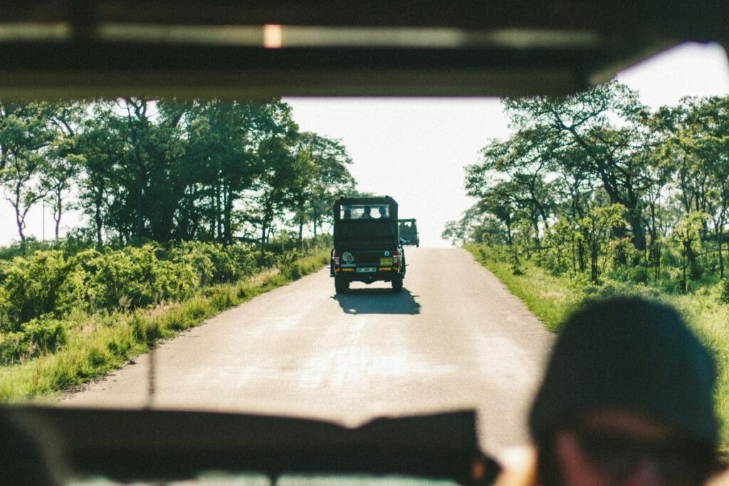 Game drive in Kruger National Park, South Africa