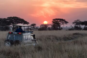 Sunrise in the Serengeti, Tanzania. Photo Credit | Hu Chen, Unsplash