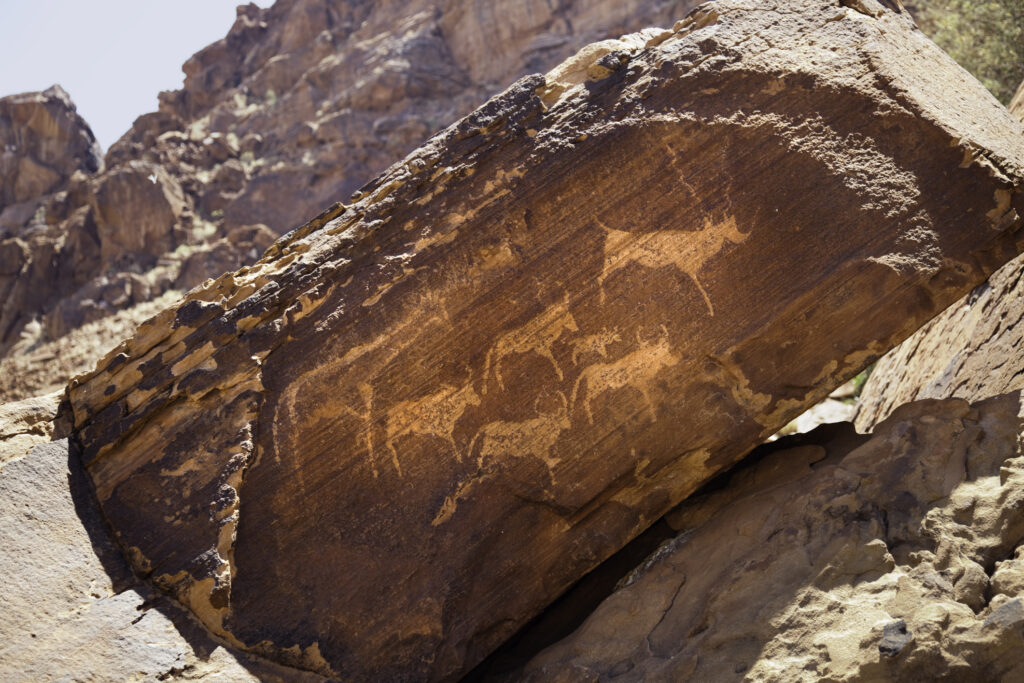 Ancient bushmen rock engravings (petroglyphs) at Twyfelfontain in Damaraland, Namibia. Photo: Getty Images