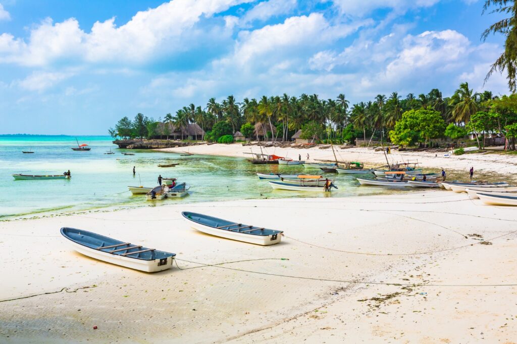 Boats on the beach in Kizimkazi Village, Zanzibar