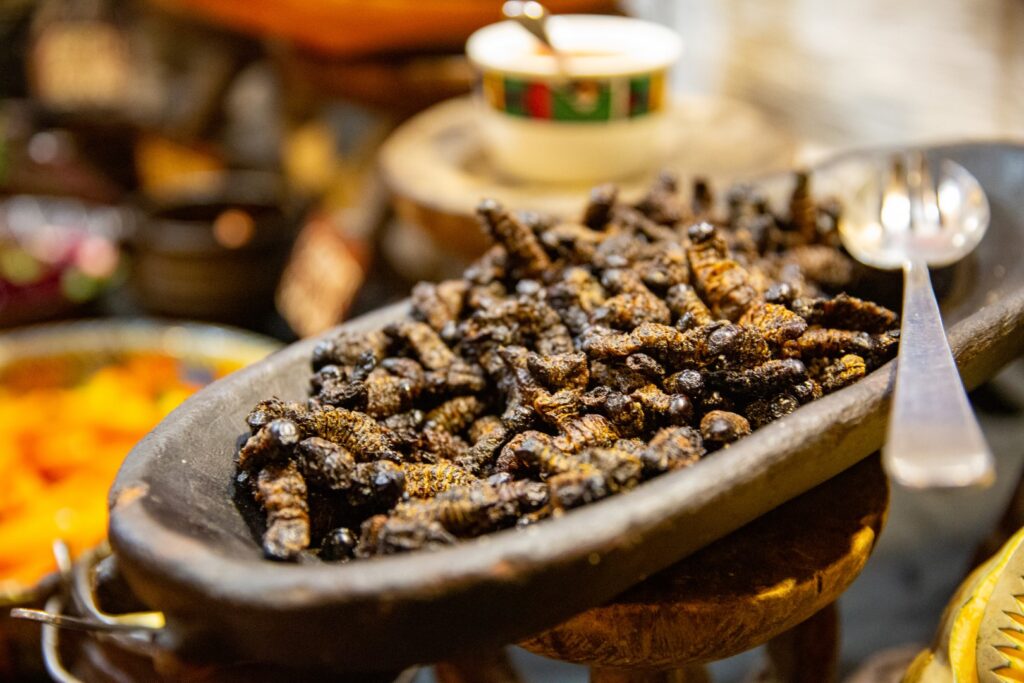 Cooked mopane worms at a traditional bomb dinner. Photo: Getty Images