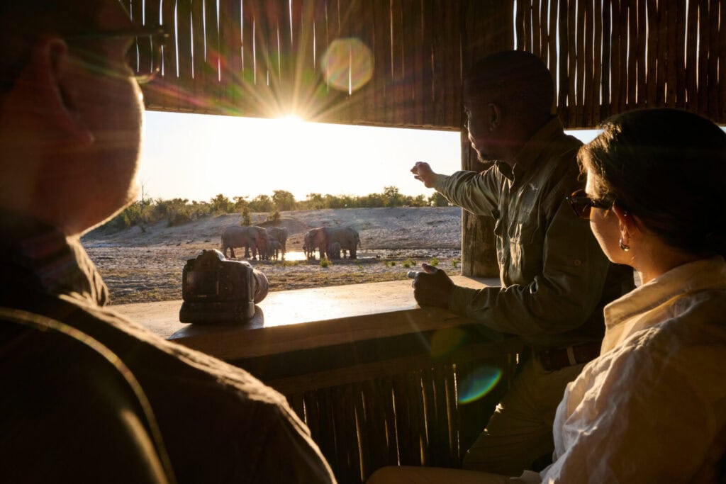 Photographic safari at Savute Safari Lodge. Photo: Savute Safari Lodge