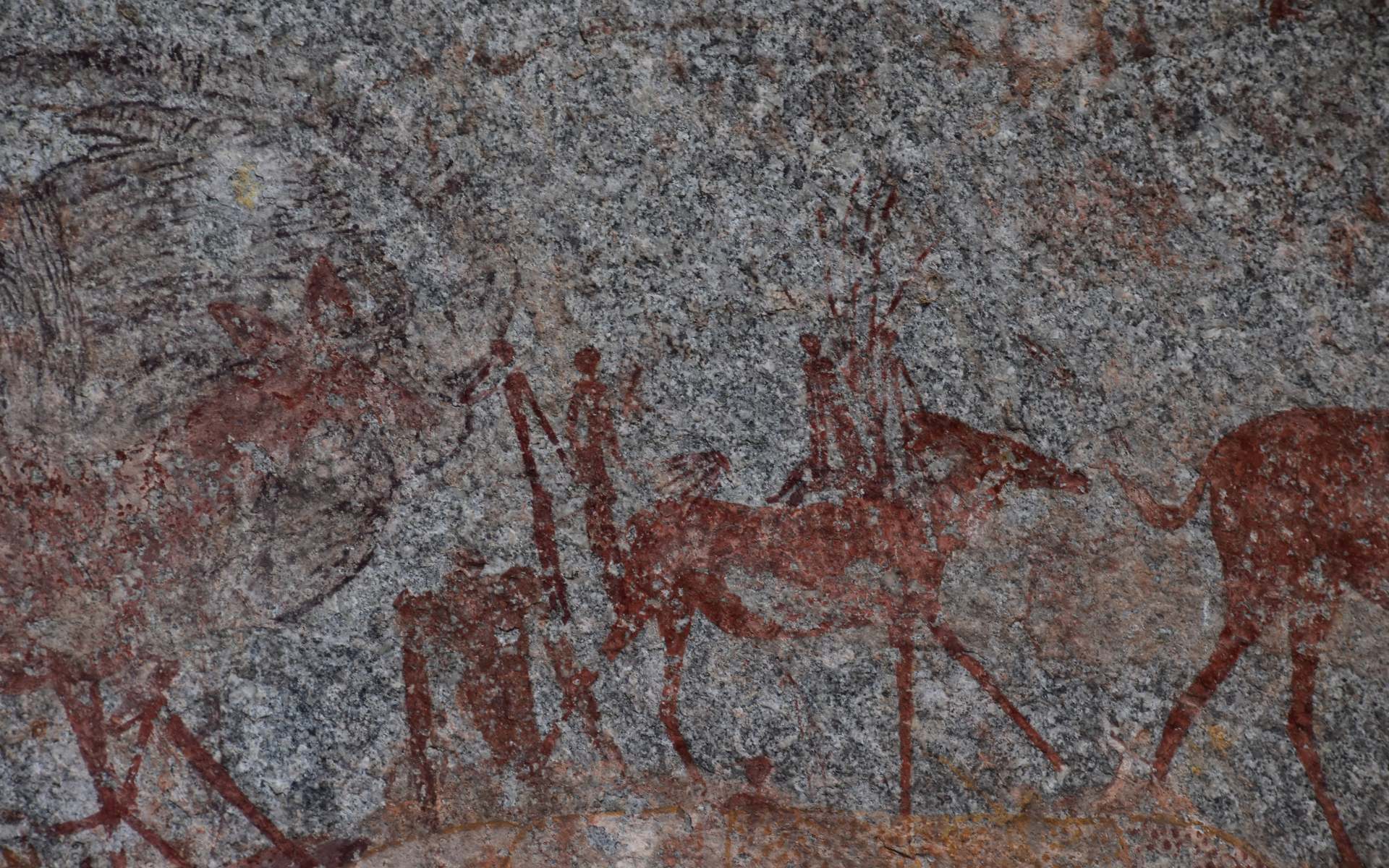 View of ancient san rock paintings depicting animals