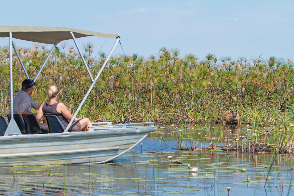 Motorboat safari in the Okavango Delta, Botswana.