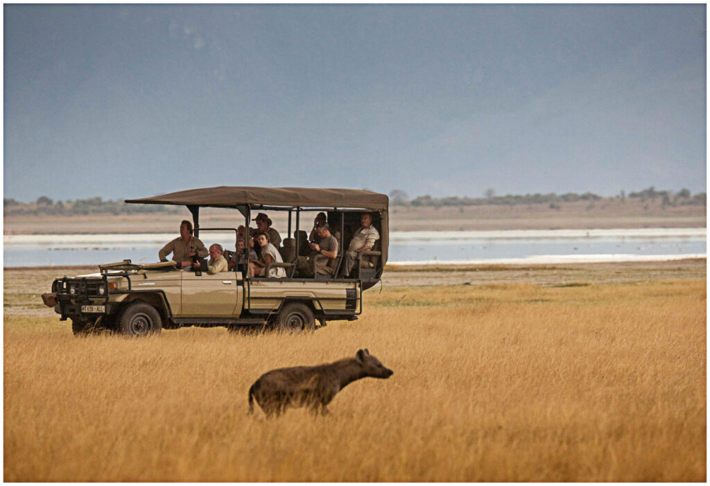 Forest Chem Chem safari Tarangire National Park, Image credit, Forest Chem Chem via Wetu