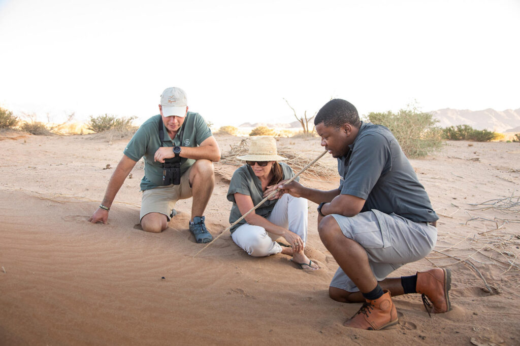 An eco-friendly walking safari in Namibia. Photo: Little Kulala