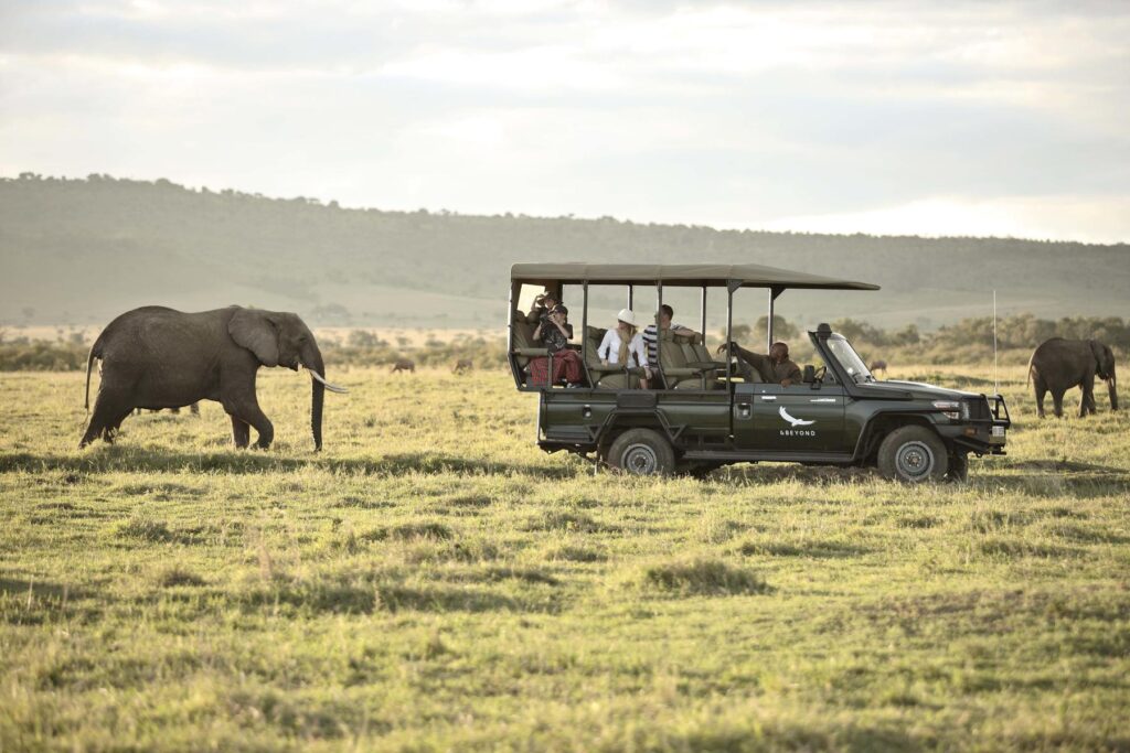 Elephant spotted on a game drive at Kichwa Tembo Tented Camp. Photo: andBeyond Kichwa Tembo Tented Camp