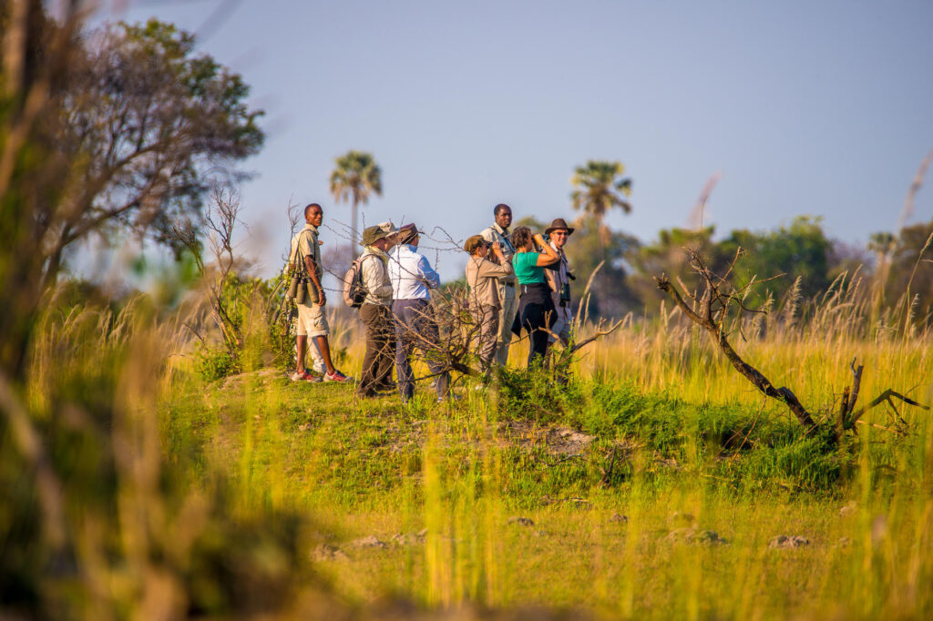 Walking safari in the Okavango Delta, Botswana.