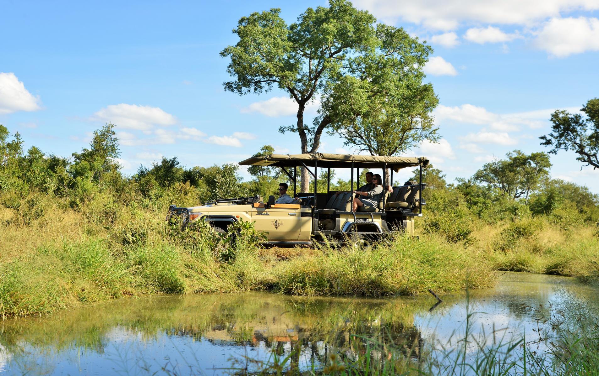 Kruger & Cape Town Holiday Review – Discover Africa