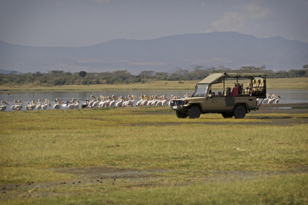 Game Drive next to the lake with some flamingos | Photo credit: Mbweha Camp