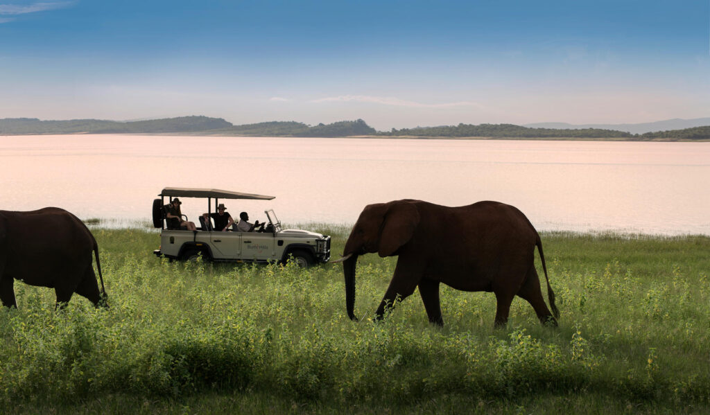 Elephant spotted on a game drive at Lake Kariba, Zimbabwe. Photo: Bumi Hills Safari Lodge